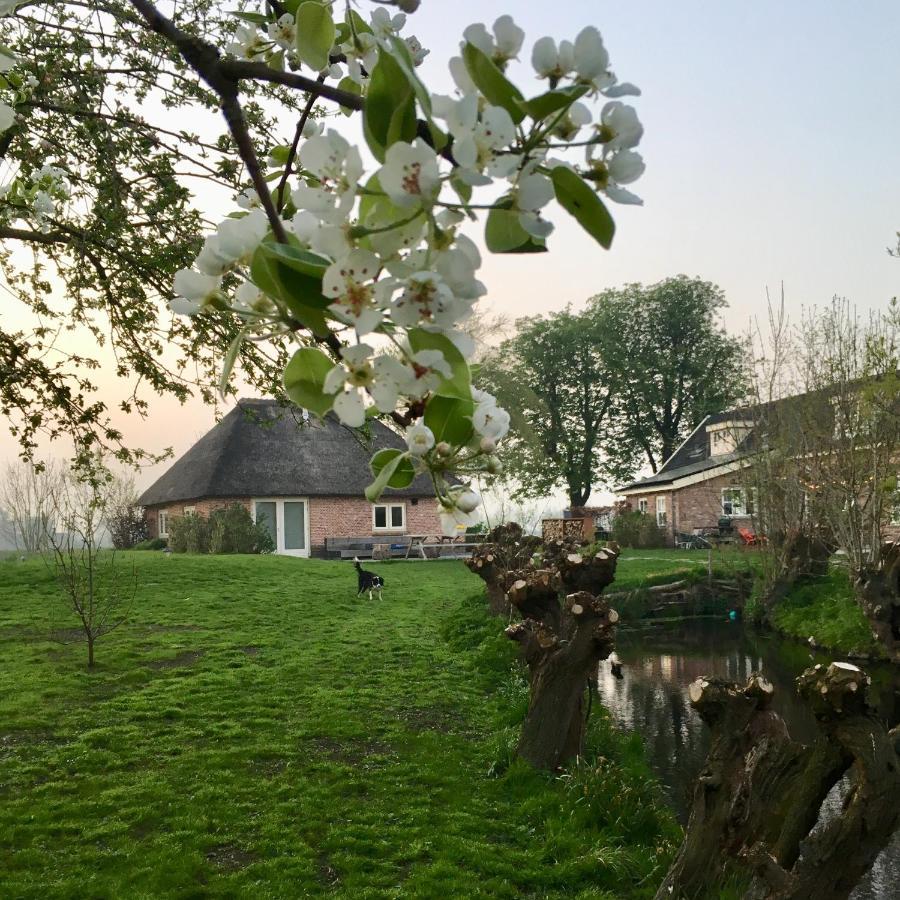 Groeten Uit Hoogmade - Rural Cottage Extérieur photo